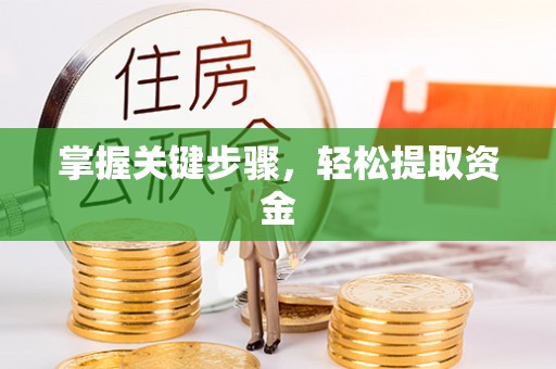 孝昌掌握关键步骤，轻松提取资金
