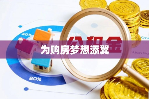 孝昌为购房梦想添翼