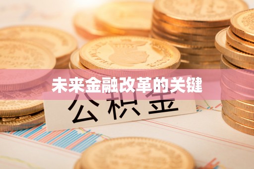 孝昌未来金融改革的关键